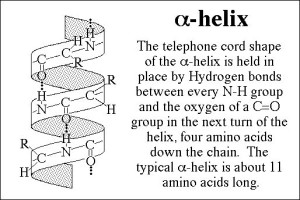 i4_alpha_helix